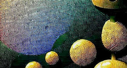 The World Cup Betting Blunder: Why Traditional Markets Failed and Why Crypto Isn't the Savior You Think The World Cup Betting Blunder: Why Traditional Markets Failed and Why Crypto Isn't the Savior You Think