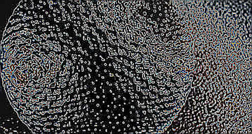 The API Illusion: Why Your Wallet's User Retention Is Leaking Through the Integration Layer The API Illusion: Why Your Wallet's User Retention Is Leaking Through the Integration Layer