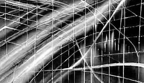 The $81 Billion Leak: A Cryptographic Autopsy of the Bank of America Insider Trading Case