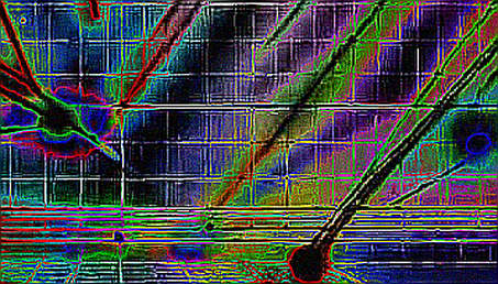 The Fruit Fly Trading Experiment: An Audit of 166,000 Neurons, a $100 Account, and a -1% That Proves Nothing